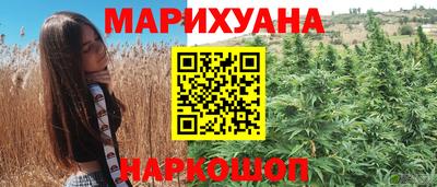 прущие грибы Новодвинск