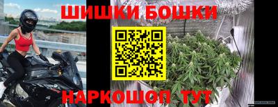 МДПВ Новокубанск