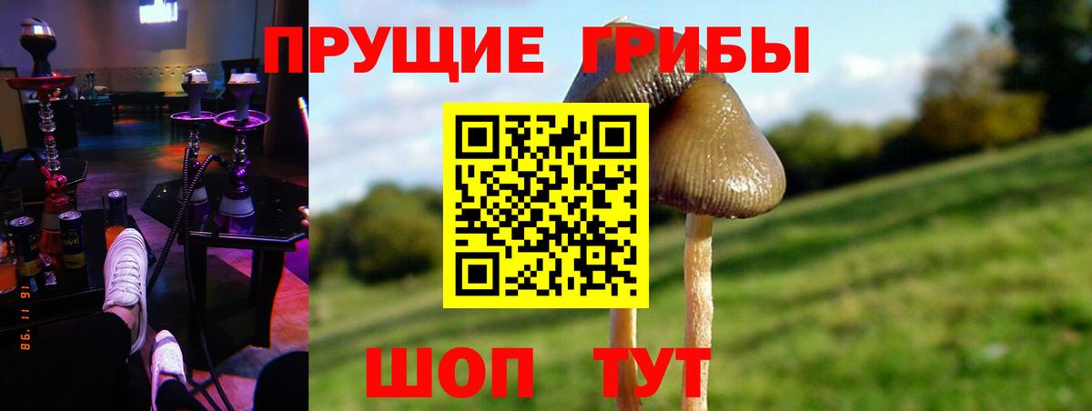 Галлюциногенные грибы MAGIC MUSHROOMS Сергиев Посад